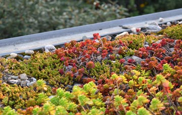 the cost of Bourtreehill green roof installation