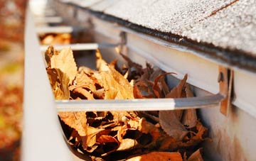 Bourtreehill gutter cleaning companies