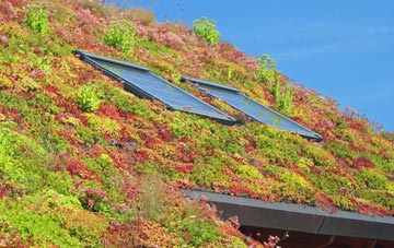 Bourtreehill living roof systems