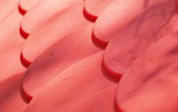 Bourtreehill plastic roof costs