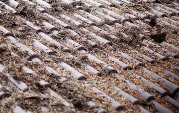 Bourtreehill roof cleaning companies